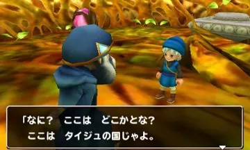 Dragon Quest Monsters Terry no Wonderland 3D (Japan) screen shot game playing